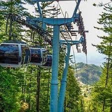 A scenic view of a cable car ride in Ayubia National Park, Pakistan, surrounded by lush green pine trees and mountains. The gondolas offer a breathtaking aerial experience of the beautiful landscape.